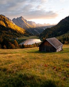 Natur in Harmonie
