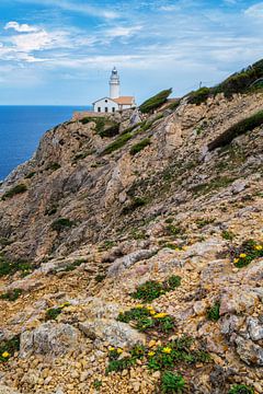 Far de Capdepera avec fleurs sur Deimel Fotografie