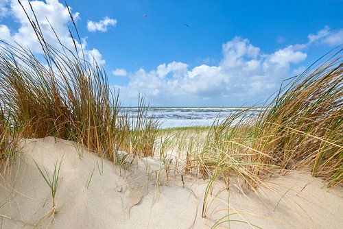 Dune on the North Sea