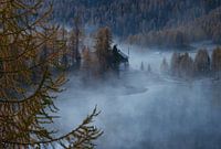 Mist boven Lago Federa