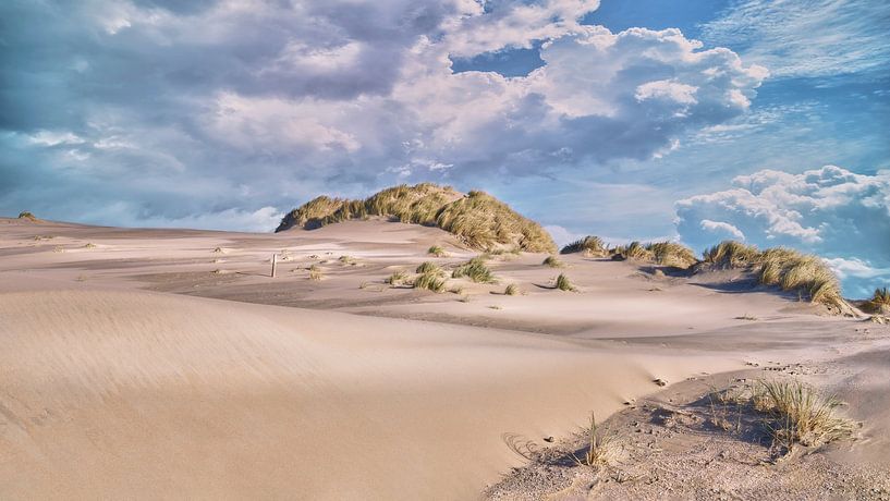 Côte de Kennemerduinen avec plage et dunes par eric van der eijkj
