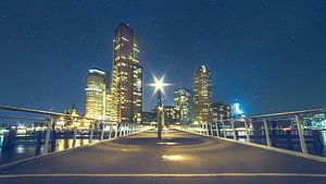 Rotterdam kop van zuid, Rijnhavenbrug van Dennis Donders