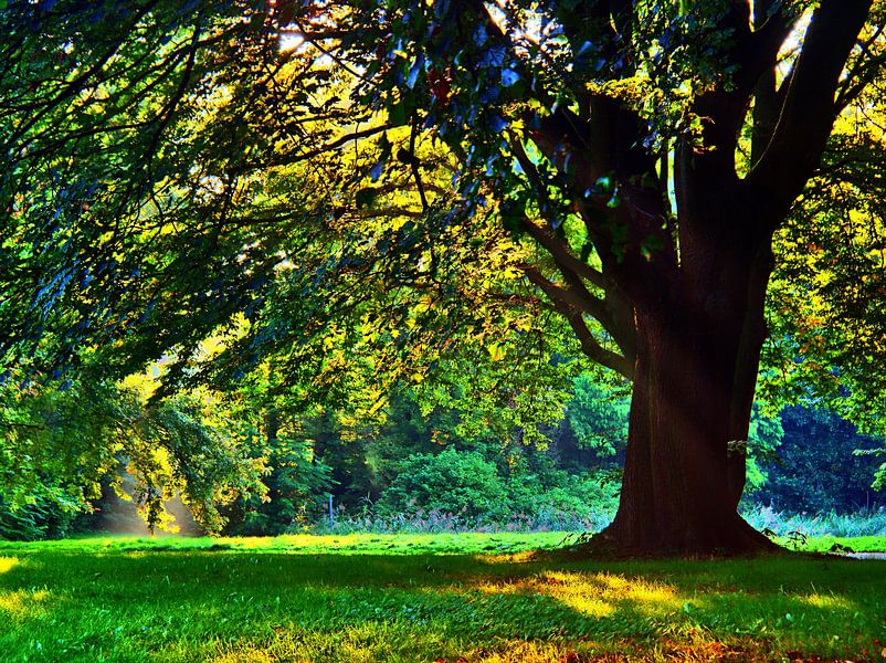 Humeur du matin par Edgar Schermaul