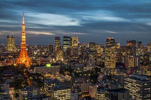 Tokyo tijdens blue hour van Mike Peek