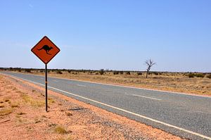 Auf dem Weg zum Kings Canyon: Auf dem Weg ins Unbekannte