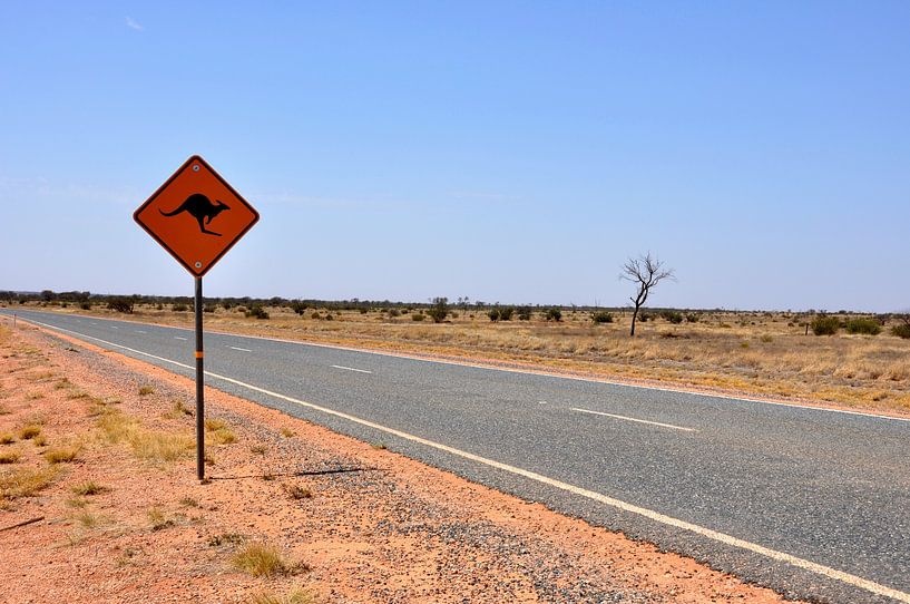 Auf dem Weg zum Kings Canyon: Auf dem Weg ins Unbekannte von Frank Photos