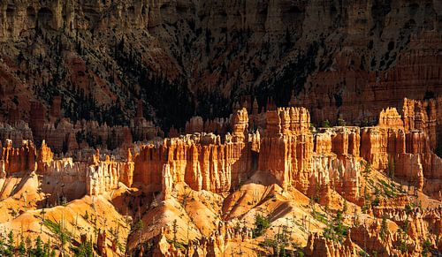 1053 The Palaces of Bryce