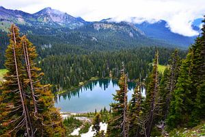 Lac de montagne dans le parc national américain du Mont Rainier
