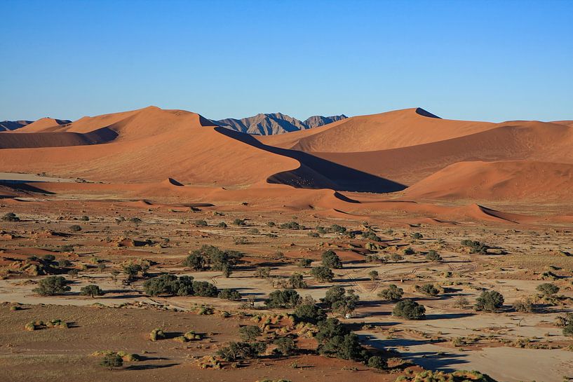 The dunes of Sossusvlei in Namibia by Roland Brack