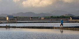 Ein Mann auf dem Weg zu seinem Stück Land von Anges van der Logt