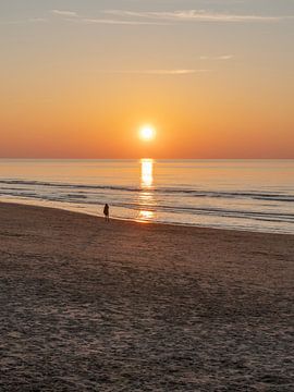 Golden Serenity - Fine Art Photography from Wijk aan Zee by Dagmar Pels