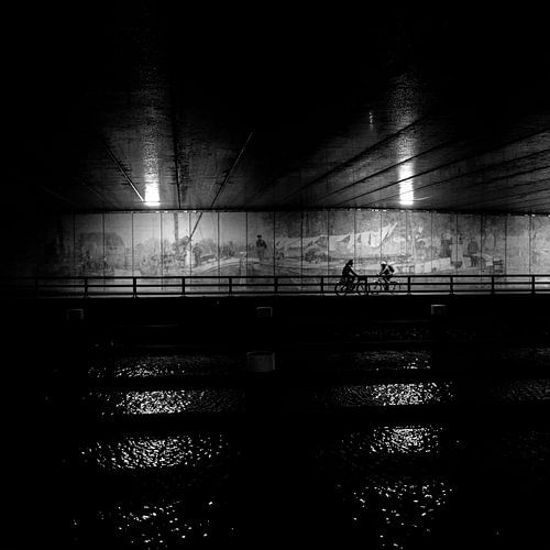 Fietsen onder het viaduct