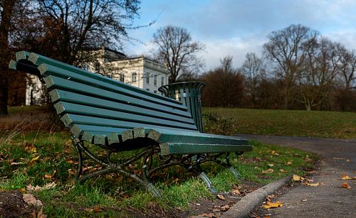 Bench in Sonsbeek