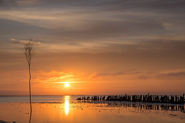Sonnenuntergang auf den dänischen Watteninseln