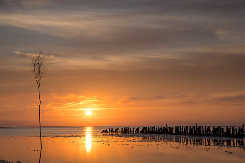 Sonnenuntergang auf den dänischen Watteninseln