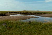 De Slufter Texel