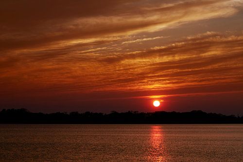 Haarrijnseplas, 6 mei 2017 #2