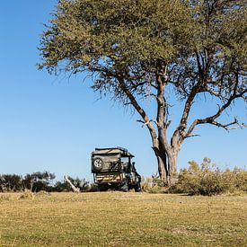 Safari car Toyota Landcruiser under tree van Etienne Oldeman