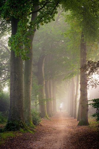 Boombergpark, Hilversum