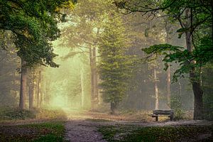Breda Liesbos im Nebel