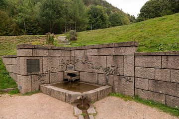 La Source de Moselle van Richard Wareham