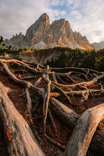 Les racines de la montagne : le Peitlerkofel par Oliver Preuss
