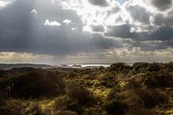 Vanuit de Zeeuwse duinen over de zee by a schotanus thumbnail