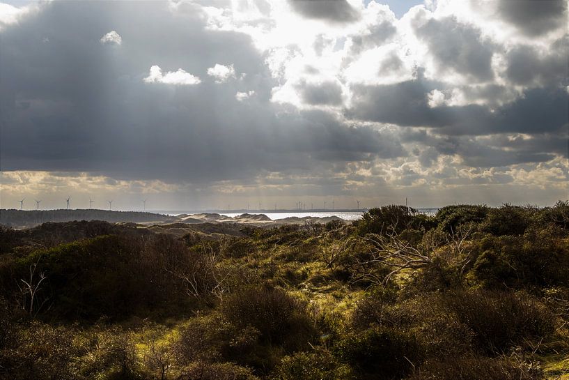 Vanuit de Zeeuwse duinen over de zee by a schotanus