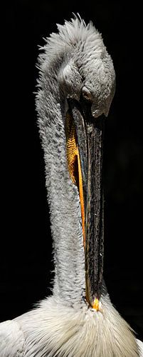 spiegeltje, spiegeltje aan de wand........