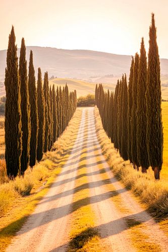 Cipressenlaan Toscana