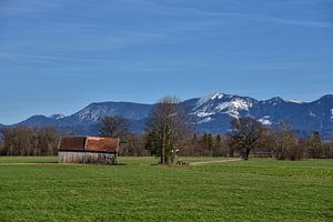 Frühling in Bayern