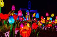 Tulipes hollandaises en Chine Fête des Lumières par Hans Brinkel Aperçu