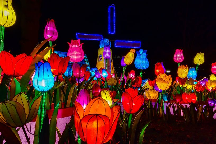 Holländischen Tulpen in China Light Festival von Hans Brinkel