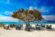 Taverna Paradiso van Ronnie Reul thumbnail