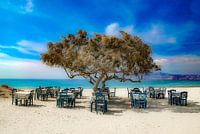 Taverna Paradiso