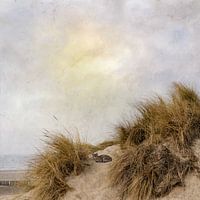 Niederländische Landschaft - Fleck in den Dünen