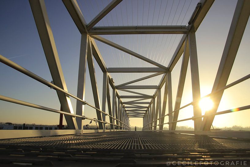 Bridge by Carlijn Buil