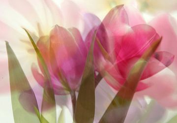 Tulipes en bouquet sur Martine Affre Eisenlohr