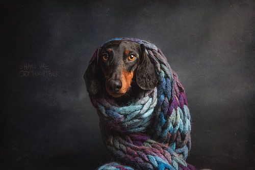 Melancholie, oder....Sollen wir zusammen weinen...