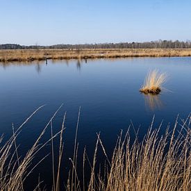 Landschaft im Pietzmoor von Katrin May