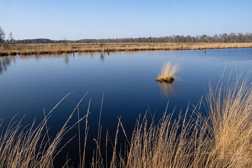 Landschaft im Pietzmoor von Katrin May