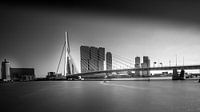 Erasmusbrug Rotterdam van Robbert Ladan thumbnail