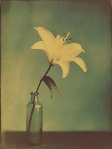 Fleur dans un vase n° 4
