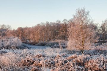 Winter morgen van Karla Leeftink