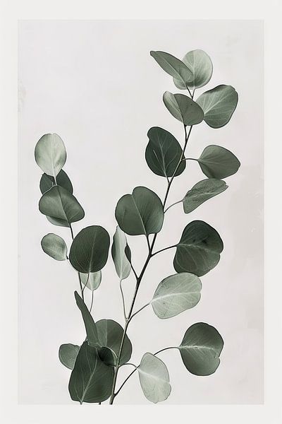 Eucalyptus by Poster Art Shop