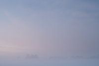 Winter Schermer III