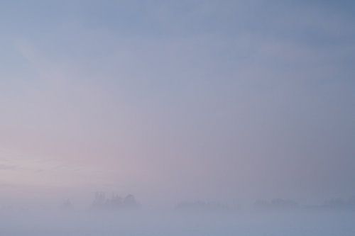 Winter Schermer III