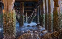 Under the pier