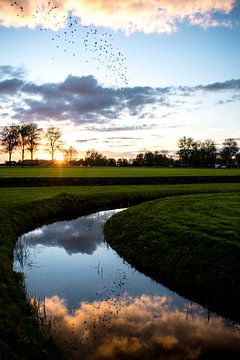 Zonsondergang met reflectie in Culemborg van Milou Oomens