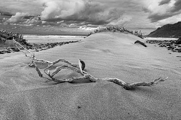 Flotsam op het strand van Famara / Lanzarote van Flatfield